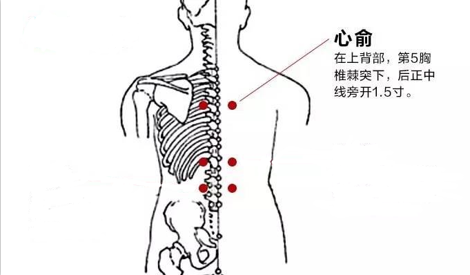 心俞穴.jpg