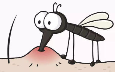 蚊子盯人搞笑图片图片