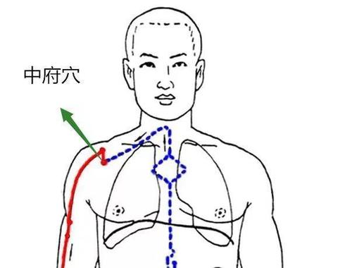 中府穴.jpg