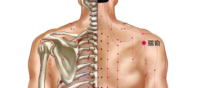 臑俞穴的位置及功效