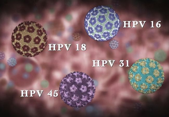 HPV3.jpg