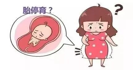 胎心停止导致妊娠反应消失