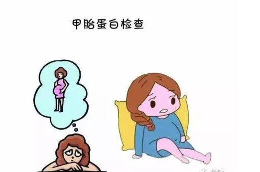 孕妇的甲胎蛋白