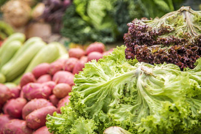 蔬菜提供维生素矿物质等营养