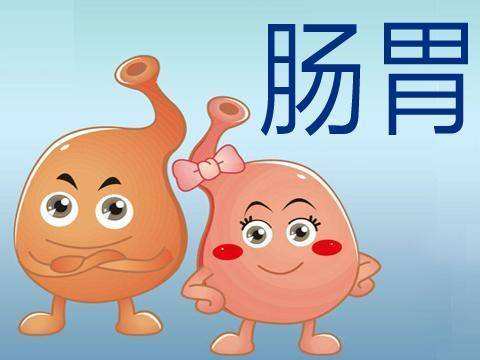 芦荟粉增强肠胃功能