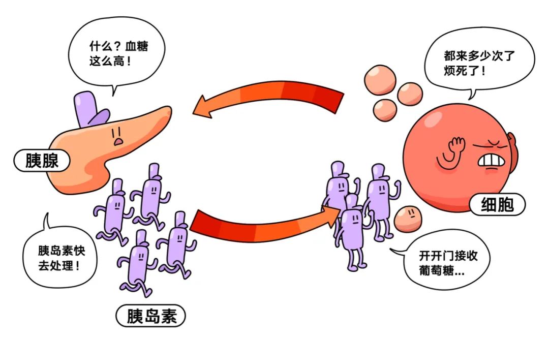 胰岛素抵抗