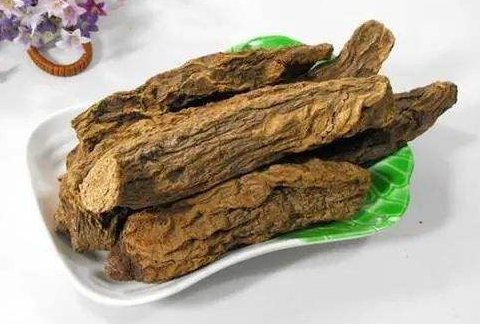 肉苁蓉补肾