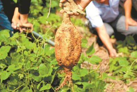 保护暖巢