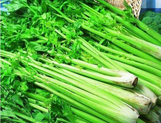 芹菜可以降火