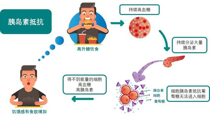 什么是胰岛素抵抗