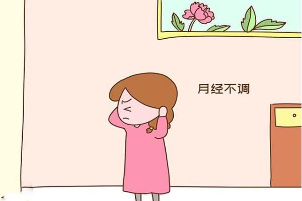 肉苁蓉可以调理月经