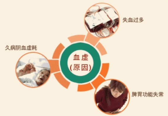 气血虚弱的原因