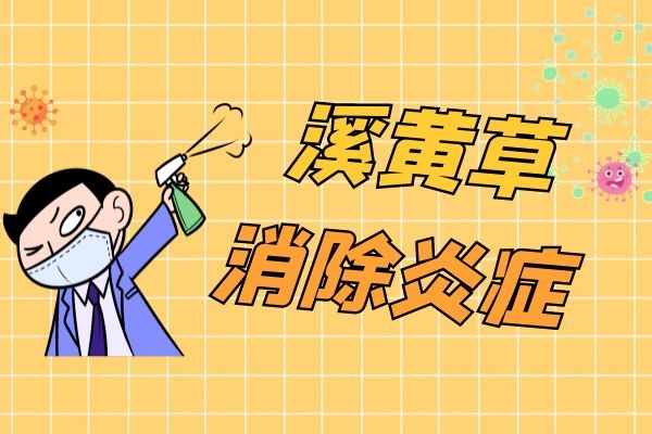 溪黄草消除炎症.jpg