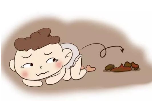 排便不规律导致便秘
