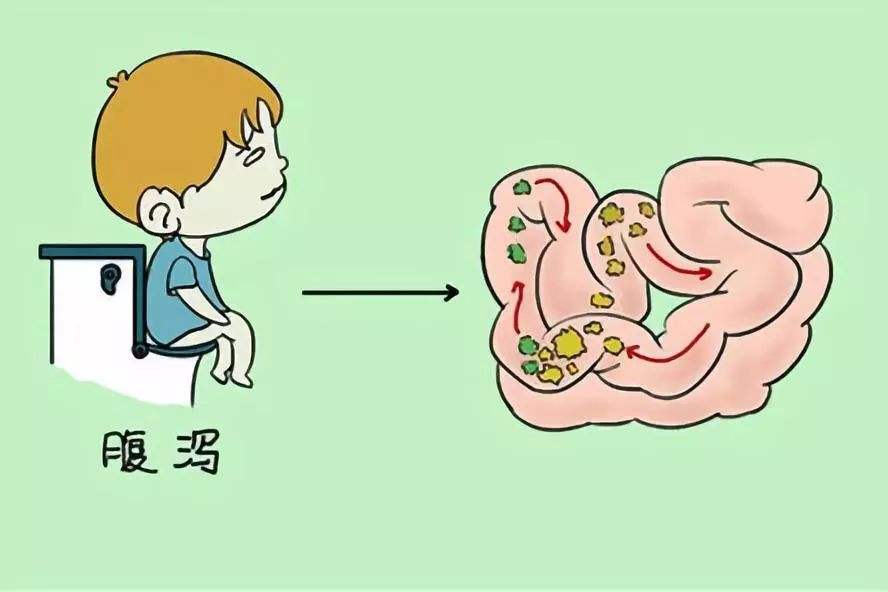肠胃炎导致腹泻