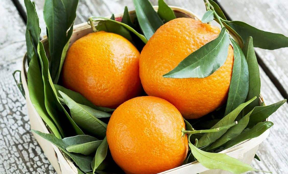 肠胃炎吃橘子
