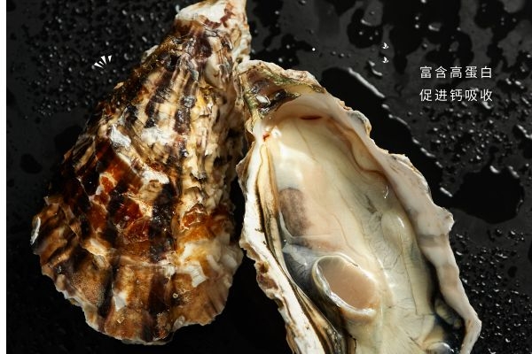 海蛎子含高蛋白.jpg
