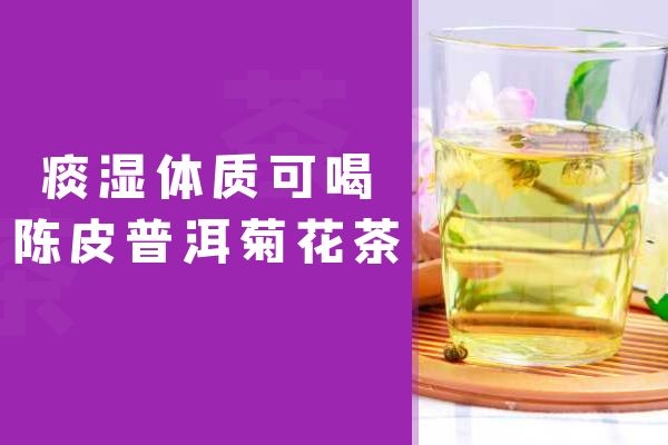 可以喝陈皮普洱菊花茶