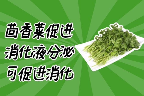 茴香菜促进消化