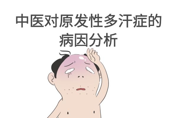 中医分析原发性多汗症