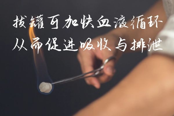 促进吸收与排泄