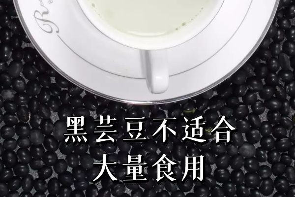 黑芸豆不适合大量食用