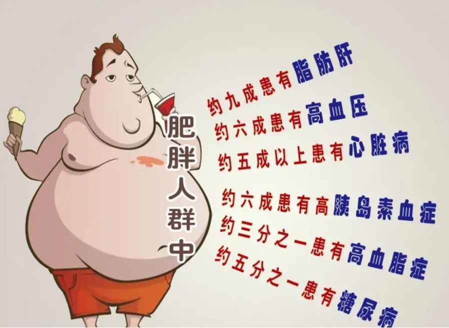 最新数据:中国超过50%的成年人超重或肥胖 肥胖的危害有哪些？33545.11世界预防肥胖日