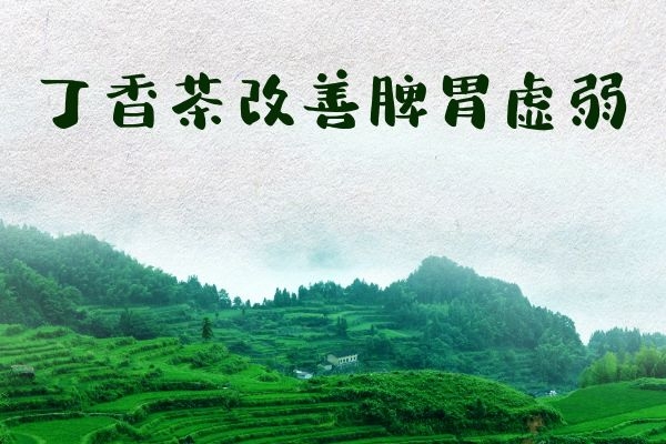 丁香茶