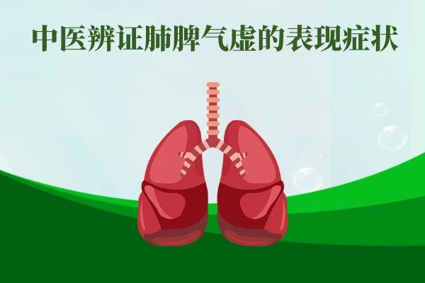 中医辨证肺脾气虚症状