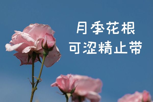 涩精止带