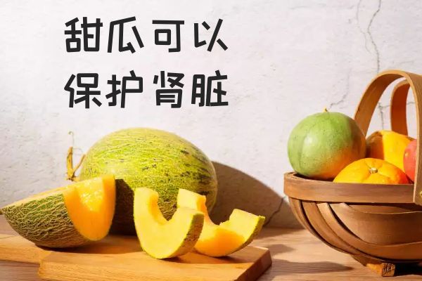 保护肾脏