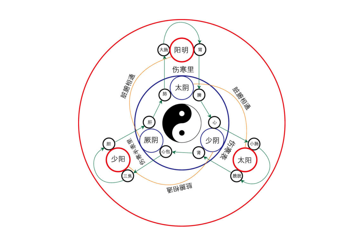 中医六经辨证（1）—三阳病