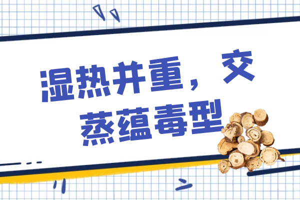 湿热并重，交蒸蕴毒型