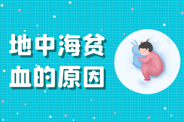 地中海贫血的原因