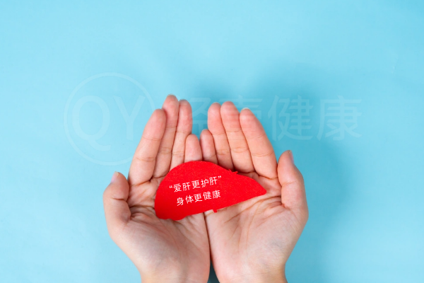 肝脏