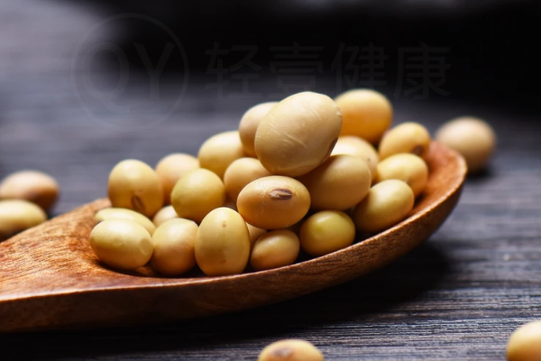 豆制品
