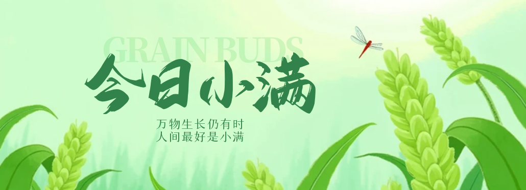雨水